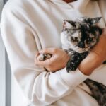 längere Magen-Darm-Erkrankungen bei Katzen