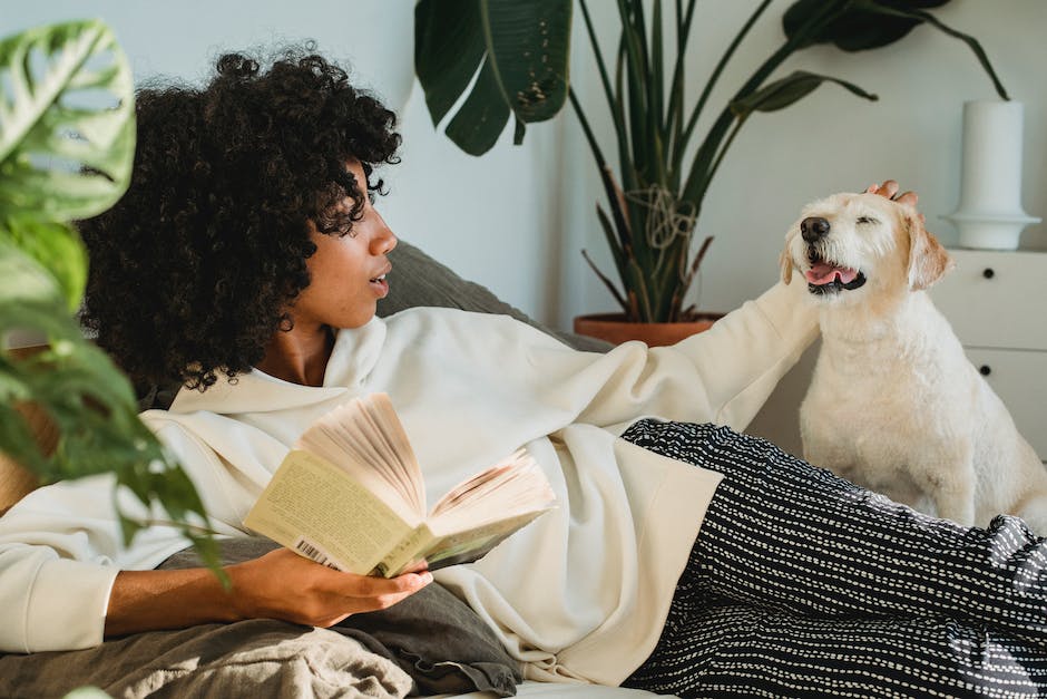 Magen-Darm-Infekt beim Hund - Dauer