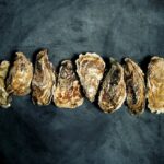 Lange Lebensdauer von Austern im Magen
